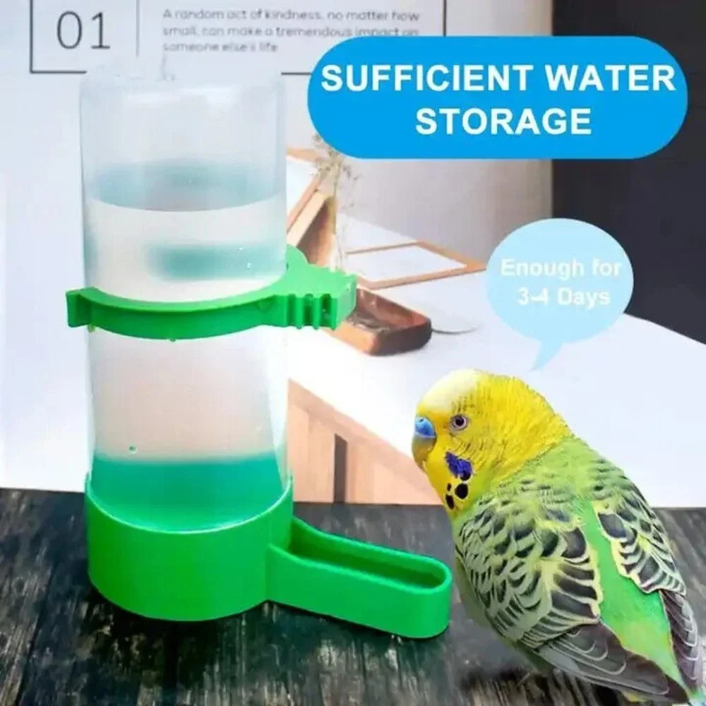Unbranded bird drinking